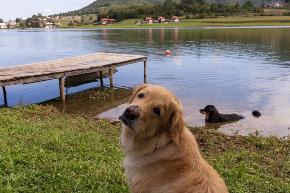 Вилла Kuca Za Odmor Jezero Огулин Экстерьер фото